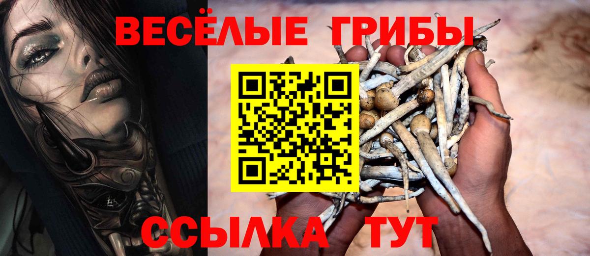 Псилоцибиновые грибы ЛСД Слободской